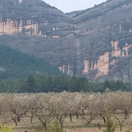 오르타 데 산트 호안 Mas De Manresa 아파트 외부 사진